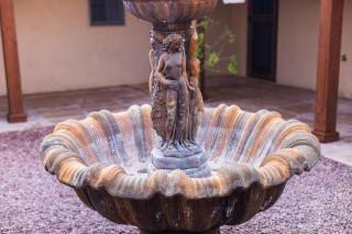 SaguaroGlamp - Marana - 5