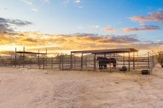 SaguaroGlamp - Marana - 3