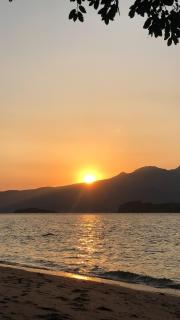 AGTA Nest Loft in Subic Bay with Self-Serve Breakfast - Pet Friendly, WiFi, Monkeys! - - 9