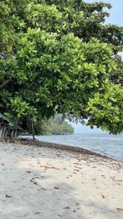 HILLSIDE Nest Townhouse in Subic Bay with Self-Serve Breakfast- Full AC, Pet Friendly, Monkeys! - Sawat - 9