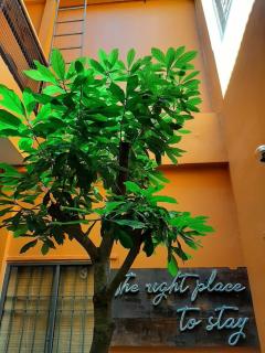 Chí Hiếu Homestay - Bạc Liêu - 2