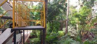 greenview homestay Mayyil - - 4