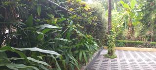 greenview homestay Mayyil - - 6