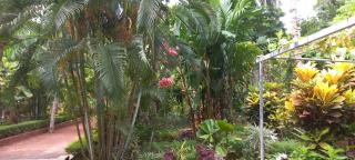 greenview homestay Mayyil - - 9