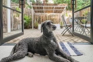 EIWA Nest Self-Service Apartment - Pet Friendly, AC, Outdoor Tub! - 0