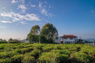 The Misty Meadows - Coonoor - 2