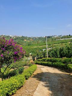 HOMESTAY Mộng Mơ - Xã Tân Phát - 7