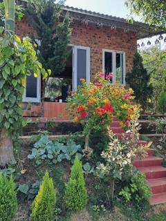 HOMESTAY Mộng Mơ - Xã Tân Phát - 1