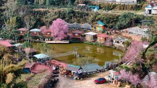 Nhà Bên Hồ - Đà Lạt Homestay - Dalat - 4