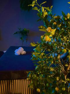 Erholung im Privaten SPA - Esslingen - 6