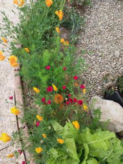 appartement de plain-pied tout confort - 1