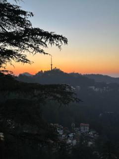 Lords Grey near Mall Road - 6