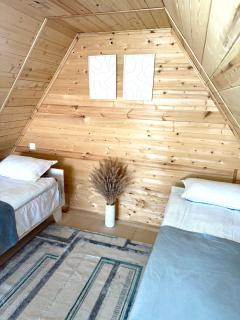 Coral houses2 - Tosor - 6