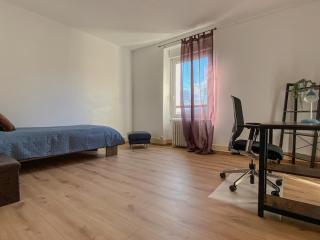 Les 2 suites de Belfort 184m2 Centre Parkings - Belfort - 4