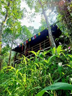 Triloka by The Offbeat Crew - Munnar - 6