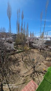 Grace villa - Leh - 5