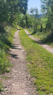 Le Clos des Oiseaux YourHostHelper - Narbonne - 9