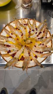 Villa Guesthouse Albion - Lezhë - 6