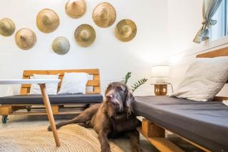Rainforest Nest - KAHILOM, SAYA, JIVA Nest with Self-Service Breakfast, Outdoor Dining, Bats! - - 0