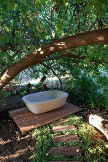 De Nest - Clear Glass Tree Cabin - Montagu - 4