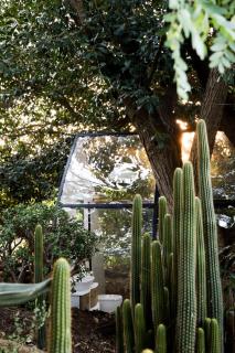 De Nest - Clear Glass Tree Cabin - Montagu - 1