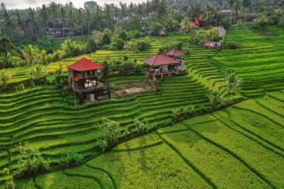 The Ravaya Arim Villa -Peaceful, Romantic, Natural - Blimbing - 9