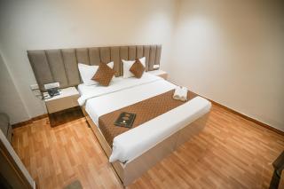 The Ambience Hotel Chandigarh Zirakpur - Zirakpur - 3