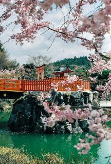 Universal Koryuun - Osaca - 4