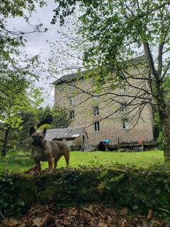 3 Apts Moulin SAGE - Treignac - 0