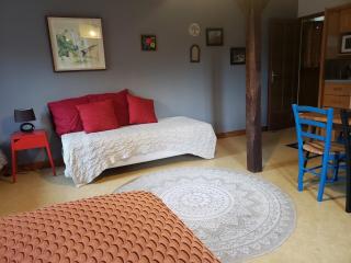3 Apts Moulin SAGE - 6