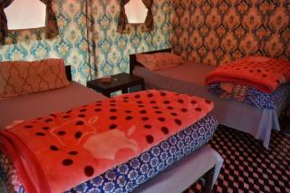 Kangal Camps Miyar Valley - 6