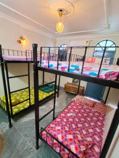 Shared Bed - Patna - 3