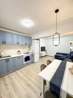 Modern apartment 10 minutes walking distance from N Romanescu Park - Craiova - 3