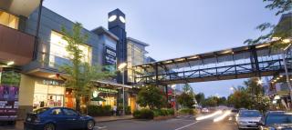 Modern 4BR in Riccarton, Walk to Mall & Park - 1