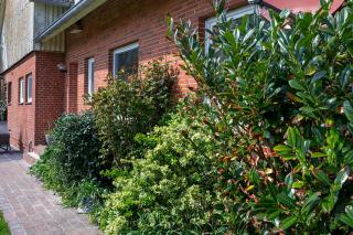 Gästehaus Tadenswarf -  - 3