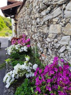 FarmHouse Como Lake Pool & Tennis - Galbiate - 5