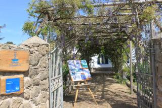 Calanave 10 - Ventotene - 3