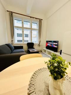New apartment near Wenceslas Square - Praga - 9