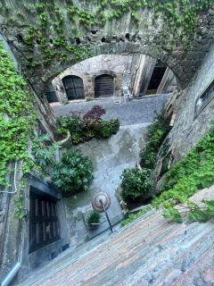 PapalePapale B&B - Viterbo - 1