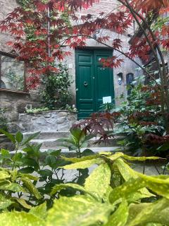 PapalePapale B&B - Viterbo - 0