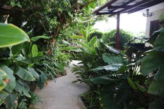 Amigunan Tropical Mini Resort - Willemstad - 6