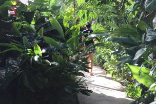 Amigunan Tropical Mini Resort - Willemstad - 5