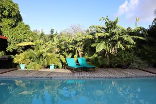 Amigunan Tropical Mini Resort - Willemstad - 2