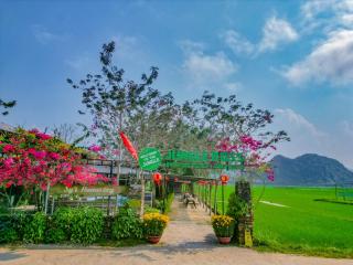 Jungle Boss Travel Lodge - Phong Nha - 0