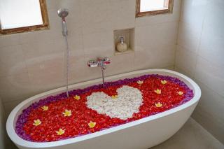 Puri Sedana Ubud Villa - 6