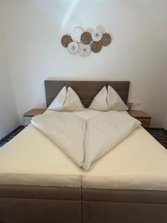 Villa Tadini JOY - Babići - 9