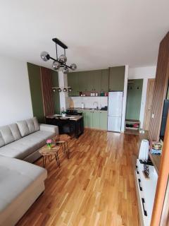 Apartman Zimus sa prelepim pogledom, besplatan Spa & Đakuzi, Parking, WIFI, lift, - Zlatibor - 9