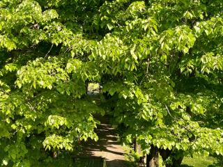 Saso' - Casa di charme e relax - 3