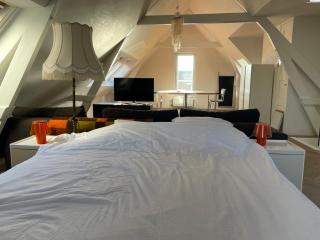 Fantastic and spacious home - Rotterdam - 4