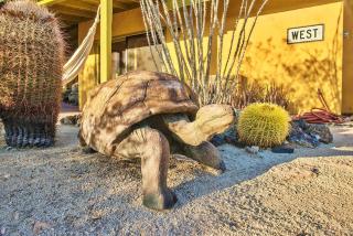 Joshua Tree Oasis I Desert retreat with hot tub, BBQ & backyard trail access - Joshua Tree - 4